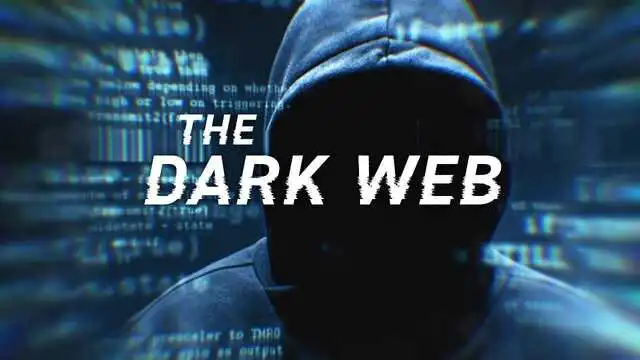Dread darknet Dread Forum - about company